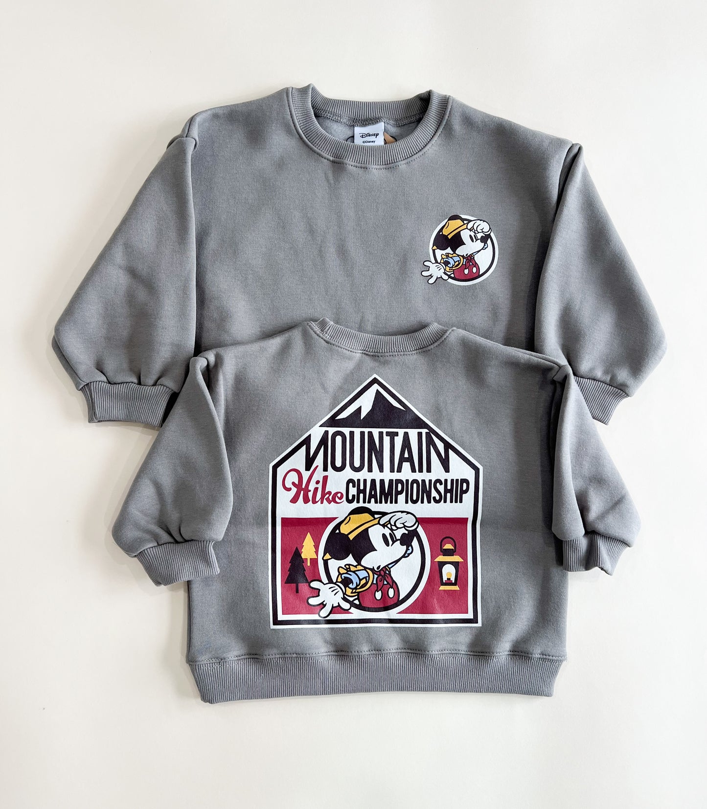 Mickey mountain sweater